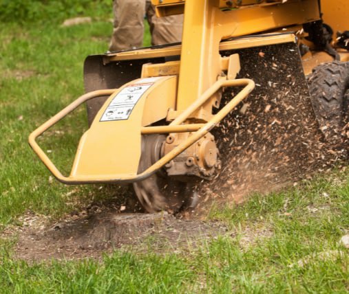 This is a photo of stump grinding being carried out in Sevenoaks. All works are being undertaken by Sevenoaks Tree Surgeons